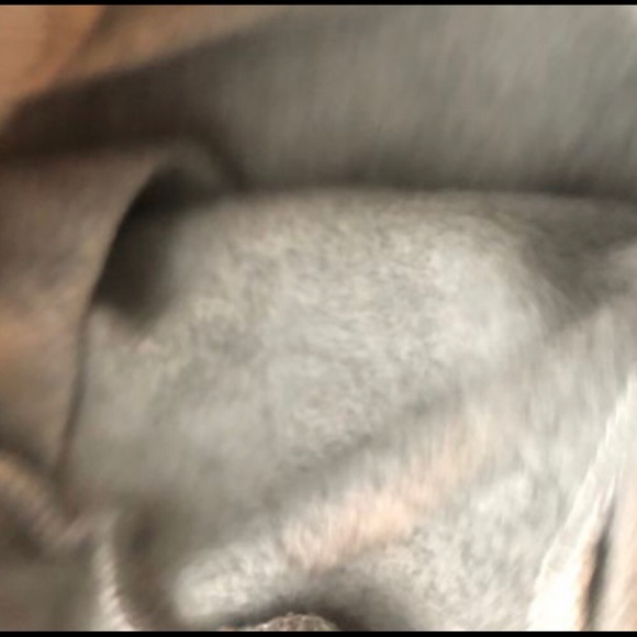 Classic Grey Sweatsuit Set - Picture 4 of 4